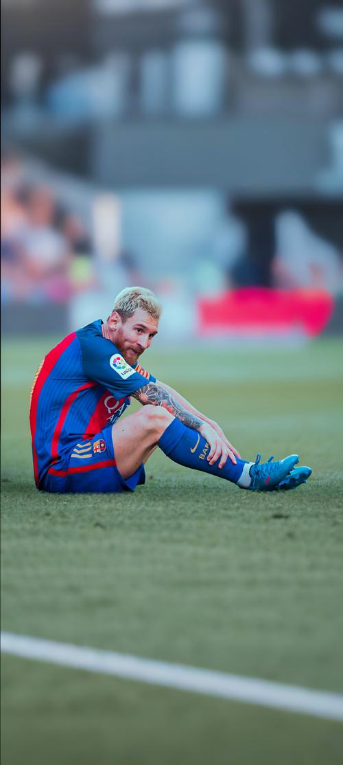 多伦多黑马故事持续发酵，三号种子WOL发力